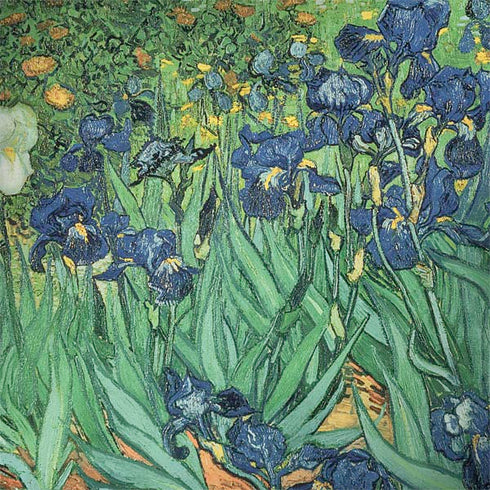 Vincent Van Gogh Irises Surface Book 2 15in Skin